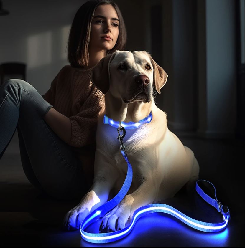Correa LED – Seguridad y Estilo en Cada Paseo